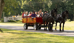 Horse-drawn wagon ride at Healthwin
