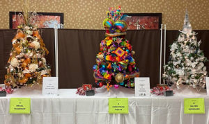 Fundraising Events - Festival of Trees
